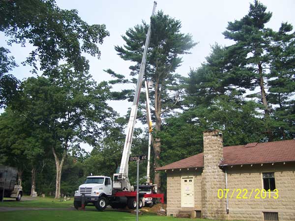 120' Crane and 65" bucket truck