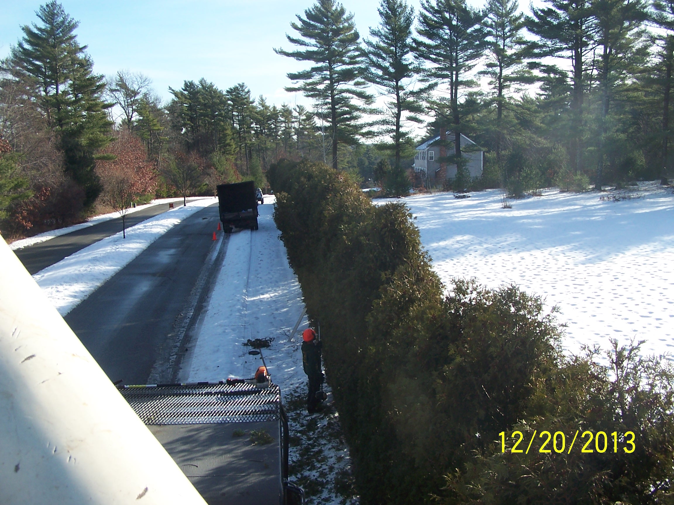 The hedge ends by the third truck in this picture.